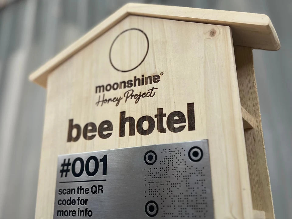 Bee Hotel