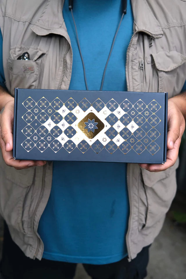 Festive Collection - assorted 3 pack